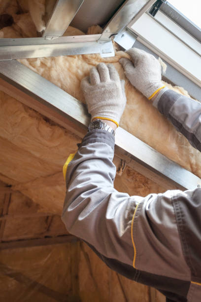 Best DIY Insulation Kits and Guidance in Wliamsvle, IL