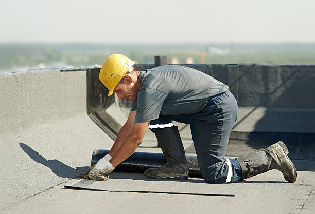 Best DIY Insulation Kits and Guidance in Wliamsvle, IL