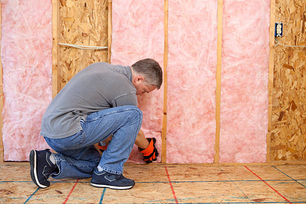 Best Eco-Friendly Insulation in Wliamsvle, IL