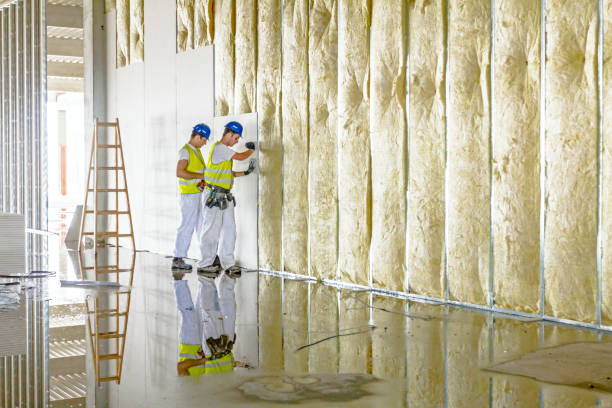 Best Cellulose Insulation in Wliamsvle, IL